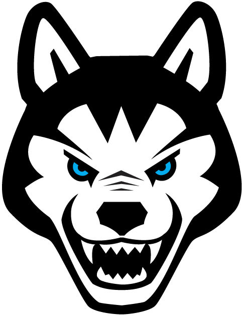 Northeastern Huskies 2001-2006 Alternate Logo diy iron on heat transfer